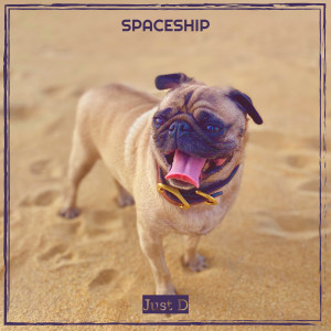 Listen to Spaceship song with lyrics from Just D