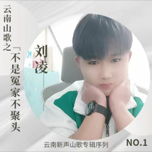 Listen to 不是冤家不聚头 (伴奏) song with lyrics from 刘凌