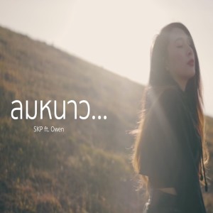 Listen to ลมหนาว song with lyrics from Skp