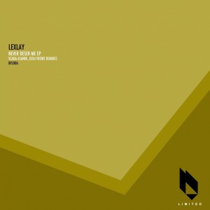 Listen to Never Deser Me (Vlada Asanin, Frank Kid Remixx) song with lyrics from Lexlay