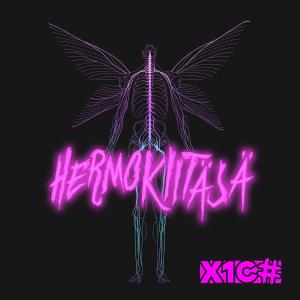 收聽X1C#的Hermokiitäjä (feat. Kauko Röyhkeä & Teijo Jämsä)歌詞歌曲
