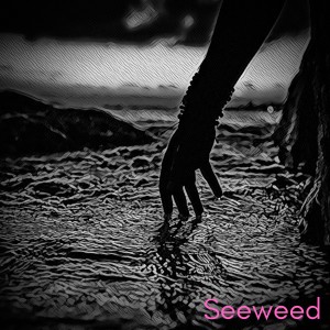 Listen to Swamp of Sorrow song with lyrics from Seeweed