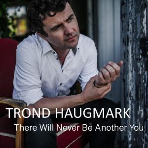 收聽Trond Haugmark的There Will Never Be Another You (Live)歌詞歌曲
