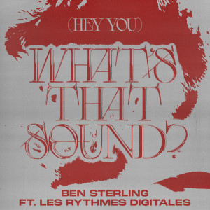 Les Rythmes Digitales的專輯(Hey You) What's That Sound (ft. Les Rythmes Digitales)