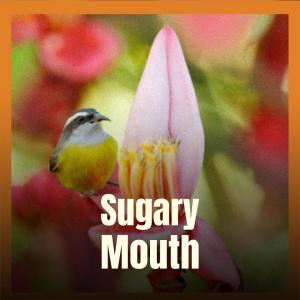 Dengarkan lagu Sugary Mouth nyanyian Eldis Hido dengan lirik