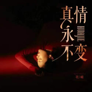 收聽花姐的真情永不變 (伴奏)歌詞歌曲