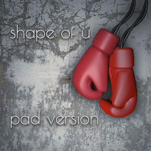 Album shape of u (Pad Version) from Danny McCartney