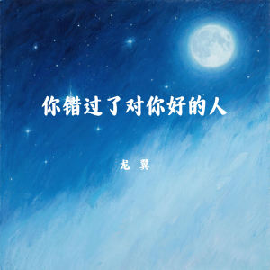 Album 你错过了对你好的人 from 龙翼