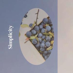 Listen to Blinking song with lyrics from Srin Aven