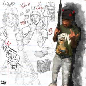 ดาวน์โหลดและฟังเพลง NFL (feat. marrgielaa) (Explicit) พร้อมเนื้อเพลงจาก wildkarduno