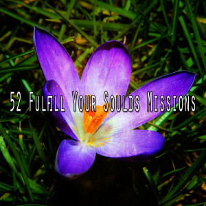 Album 52 Fulfill Your Soulds Missions from Yoga Tribe