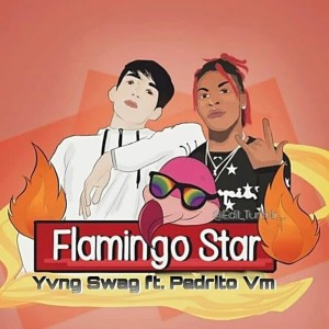收听Yvng Swag的Flamingo Star歌词歌曲