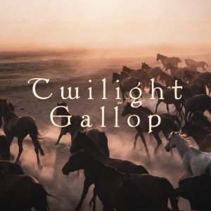 收聽PeriTune的Twilight Gallop歌詞歌曲