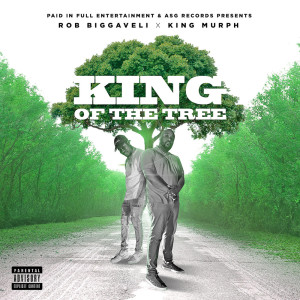 收聽ROB BIGGAVELI的KING OF THE TREE (Explicit)歌詞歌曲