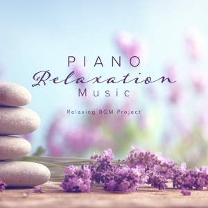 Dengarkan lagu Soothing Concerto nyanyian Relaxing BGM Project dengan lirik