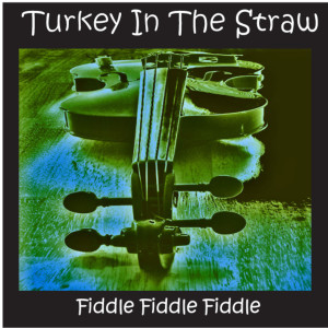 Album Turkey in the Straw and Other Country Fiddle Hits oleh Fiddle Fiddle Fiddle