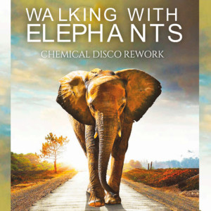 อัลบัม Walking With Elephants (Rework) ศิลปิน Chemical Disco