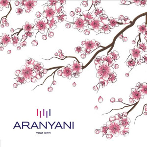 ดาวน์โหลดและฟังเพลง Terracota Aliiance พร้อมเนื้อเพลงจาก Aranyani
