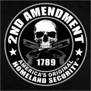 Teflon Don的專輯Second Amendment (feat. Trump The Don, AI Larry Bob, Biscuit Beats, Beats By AI & Rizz Records)