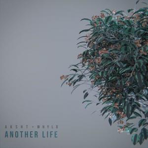 Another Life (feat. Whylo) dari WHYLO