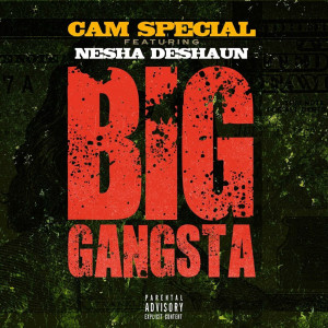 Album Big Gangsta (Explicit) from CAM SPECIAL