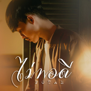 Listen to ไม่พอดี song with lyrics from POTAE