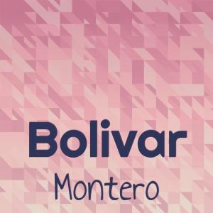 Various Artists的專輯Bolivar Montero