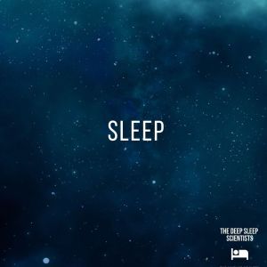 ดาวน์โหลดและฟังเพลง Ocean Waves พร้อมเนื้อเพลงจาก The Deep Sleep Scientists