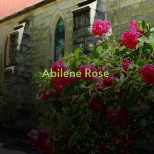 收听Renfro Valley Boys的Who's Gonna Shoe Your Pretty Little Feet歌词歌曲