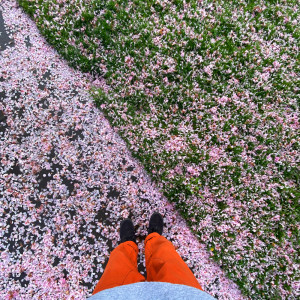 Listen to leaves (Explicit) song with lyrics from sadeyes