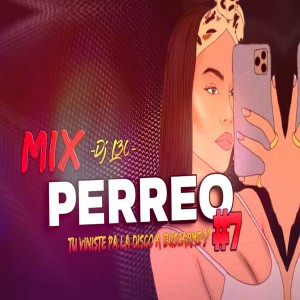 อัลบัม TU VINISTE PA LA DISCO A BUSCARME Mix PERREO RKT ศิลปิน Dj Perreo