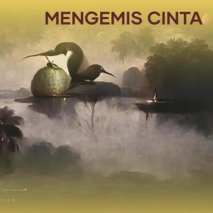 Album Mengemis Cinta (Explicit) from Radius WMG