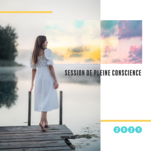 Album Session de pleine conscience 2021 (Flux d'énergie douce, Musique celtique et tibétaine pour le yoga et la méditation) from Spa Musique Collection
