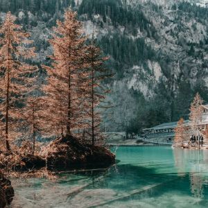 收听Rain Sounds的Deep Sleep歌词歌曲