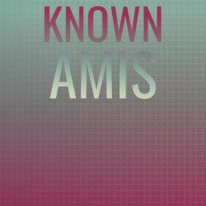 ดาวน์โหลดและฟังเพลง Known Amis พร้อมเนื้อเพลงจาก Saley Eins