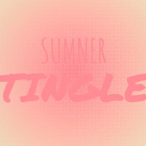 ดาวน์โหลดและฟังเพลง Andorra Sorte พร้อมเนื้อเพลงจาก Mitsy Bicer