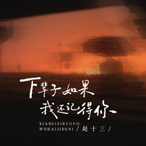 收听赵十三的下辈子如果我还记得你 (治愈版)歌词歌曲