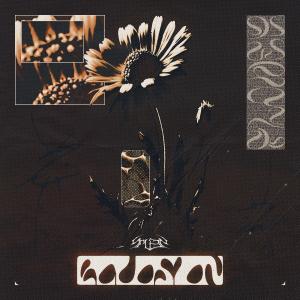 ดาวน์โหลดและฟังเพลง Eclosion พร้อมเนื้อเพลงจาก Spleen