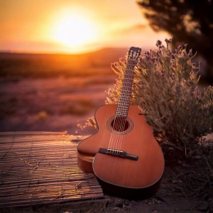 Flawless Guitar Music的專輯Timeless Chords: The Essence of Guitar Music