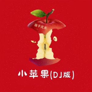 อัลบัม 小苹果 (DJ版) ศิลปิน 筷子兄弟