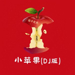 收聽筷子兄弟的小蘋果 (DJ版)歌詞歌曲