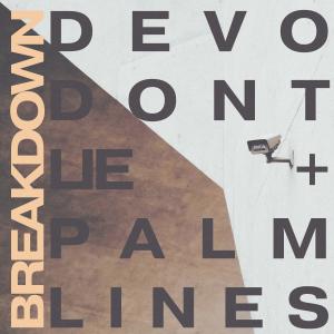 收聽PALM LINES的BREAKDOWN (Explicit)歌詞歌曲