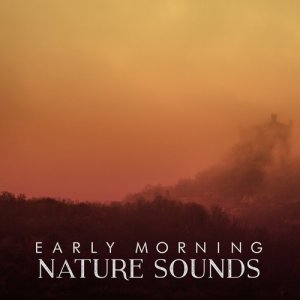 收聽Outside Broadcast Recordings的Morning Woodland歌詞歌曲