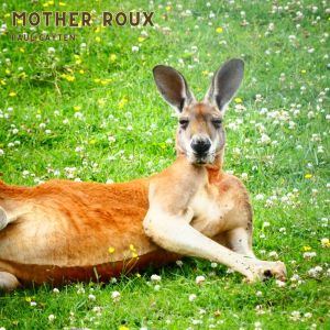 Album Mother Roux from Paul Gayten & Friends