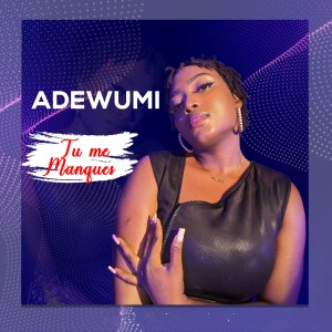 Listen to Tu me manques song with lyrics from Adewumi