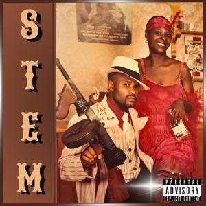 อัลบัม STEM (Explicit) ศิลปิน SLAY