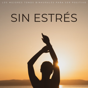 Album Sin Estrés: Los Mejores Tonos Binaurales Para Ser Positivo oleh Realidad Binaural