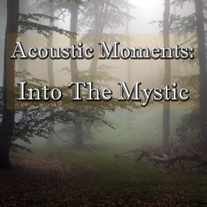 Listen to How Deep Is Your Love song with lyrics from Wilderness