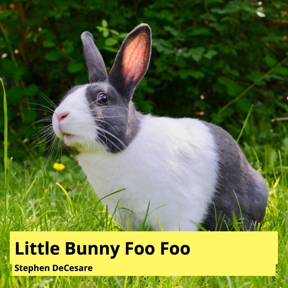 Little Bunny Foo Foo