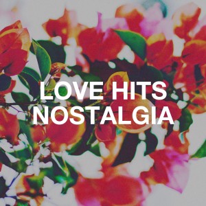 Album Love Hits Nostalgia from Various